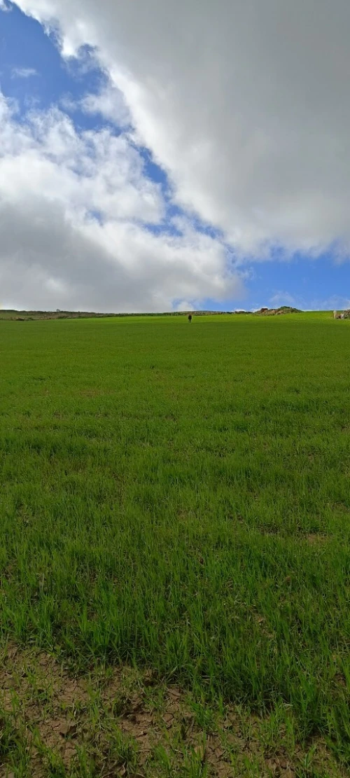 Vente Terrain Agricole Bordj Bou Arreridj Medjana