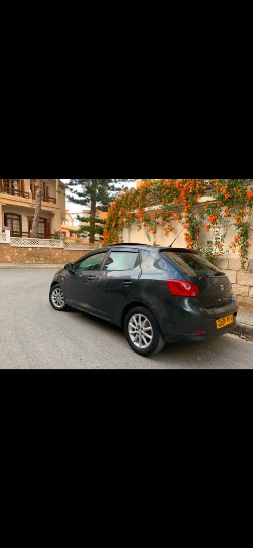 Seat Ibiza 2011 Loca