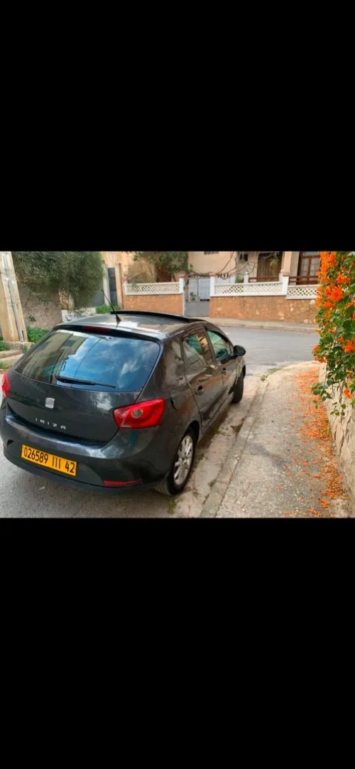 Seat Ibiza 2011 Loca