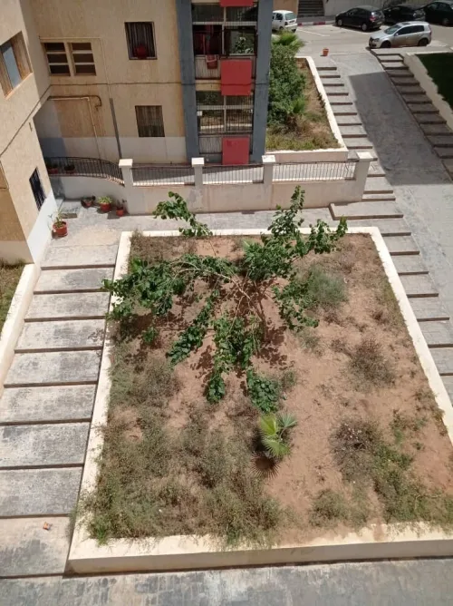 Vente Appartement F3 Mostaganem Mostaganem