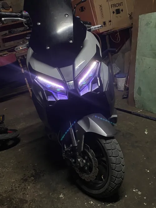 Xdv Xdv 2026