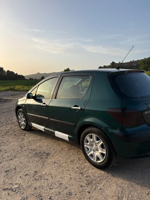 Peugeot 307 2004 307