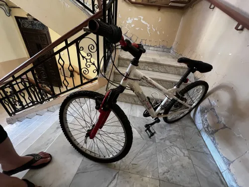 Nakamora falcon velo 24inch