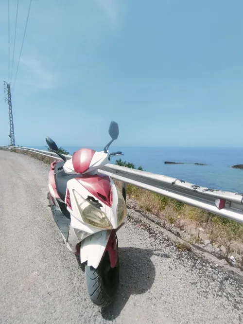 Kojima R+6 2015