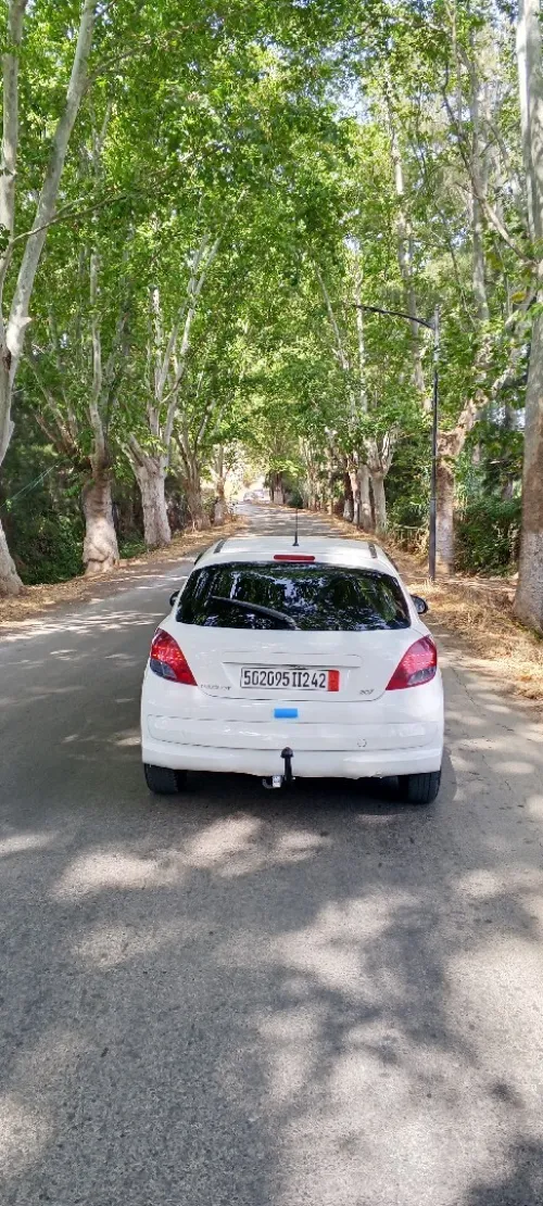 Peugeot 207 2012 Allure 9