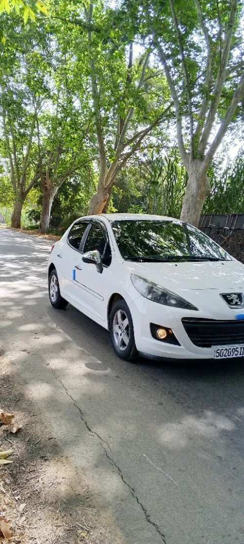 Peugeot 207 2012 Allure 4