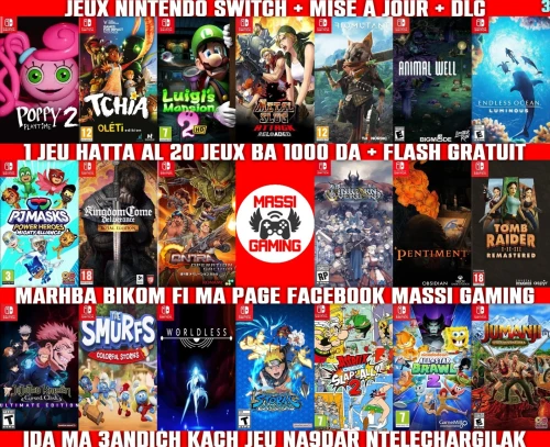 INSTALLATION JEUX NINTENDO SWITCH FLASHÉE / PUCÉE (+ FLASH GRATUIT + DLC + MISE A JOUR) --