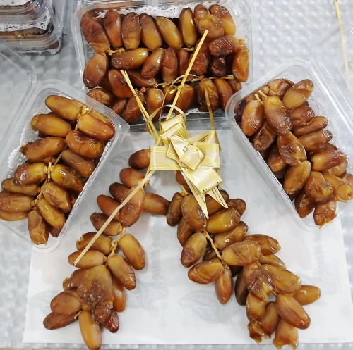 دقلة نور