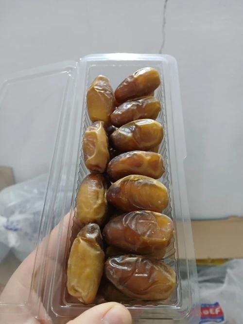 دقلة نور