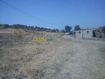 Vente Terrain Tizi ouzou Boghni