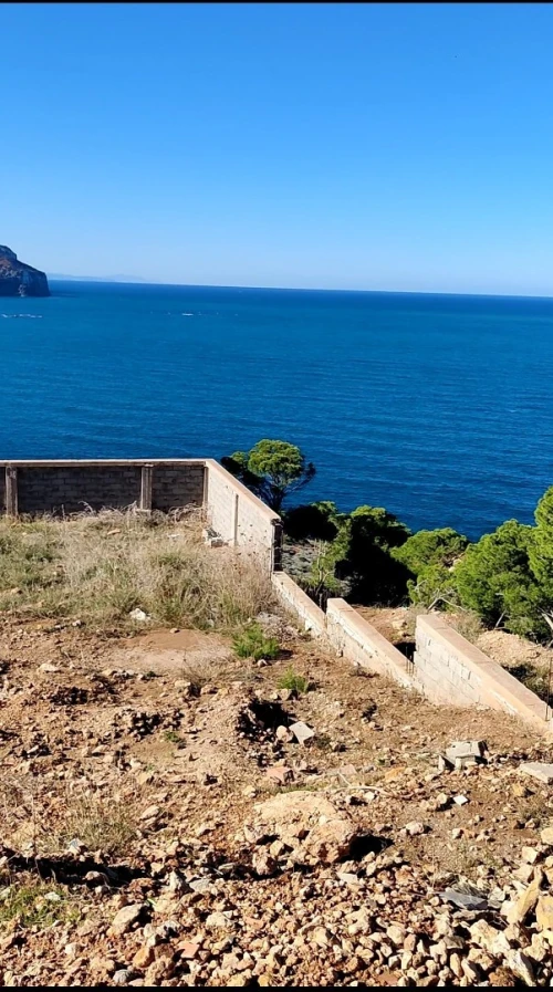 Vente terrain wilaya de TLEMCEN 