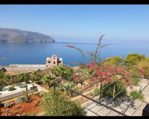 Vente terrain wilaya de TLEMCEN 