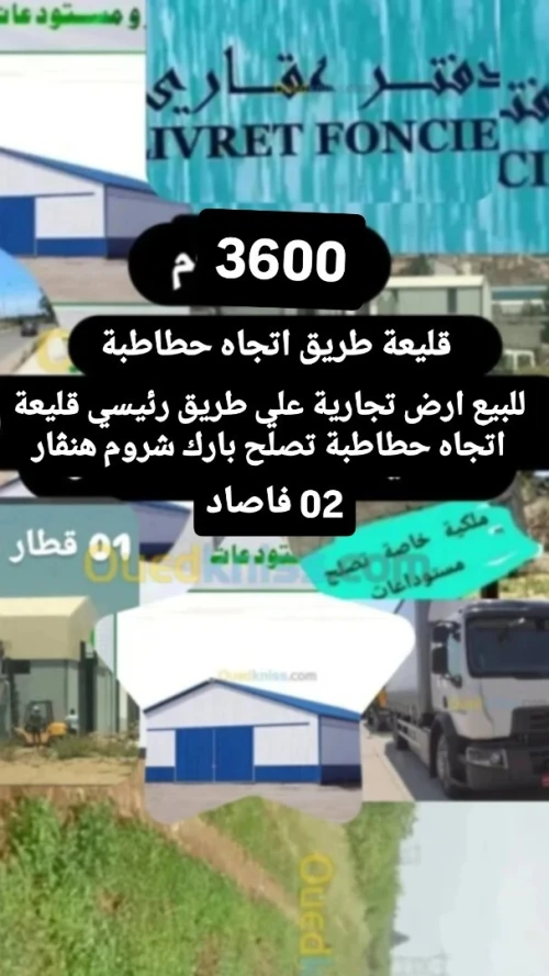 Vente Terrain F4 Tipaza Attatba