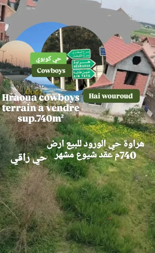 Vente Terrain Alger Hraoua