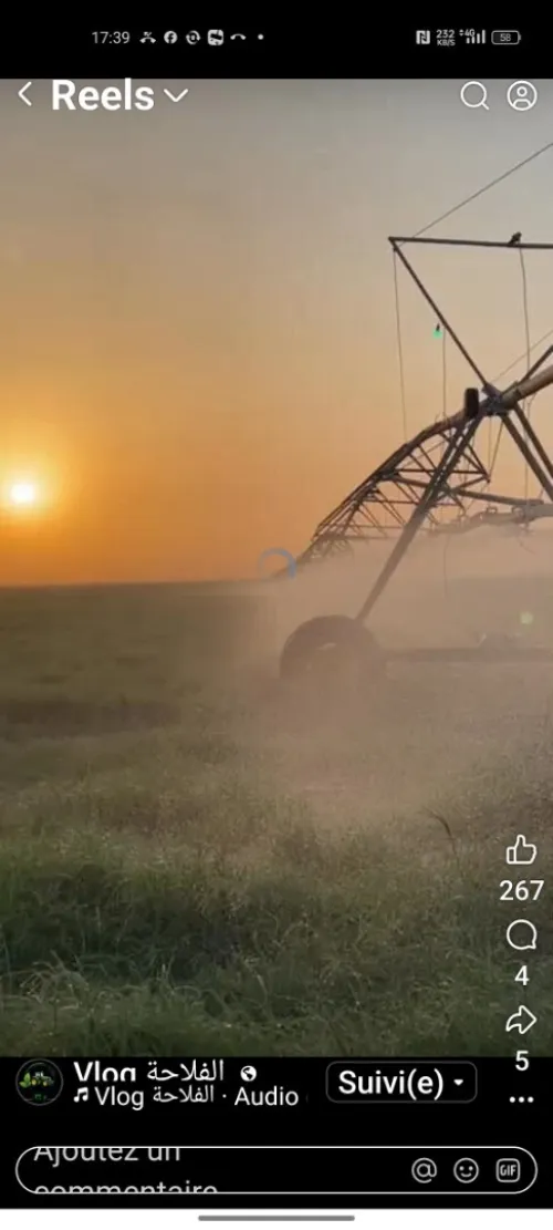 Vente Terrain Agricole Djelfa Bouira lahdab