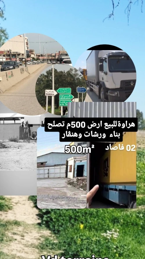 Vente Terrain Alger Hraoua
