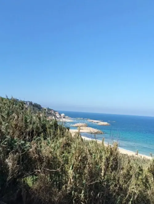 Vente Terrain Alger Hraoua