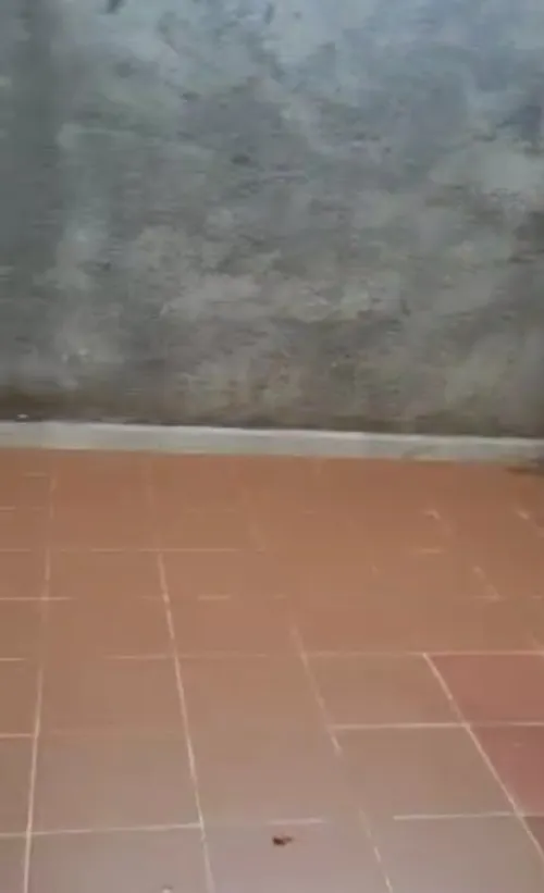 Location Appartement Niveau de villa F3 Alger Bordj el bahri
