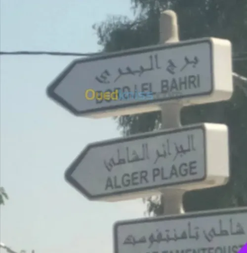 Vente Appartement F3 Alger Bordj el bahri