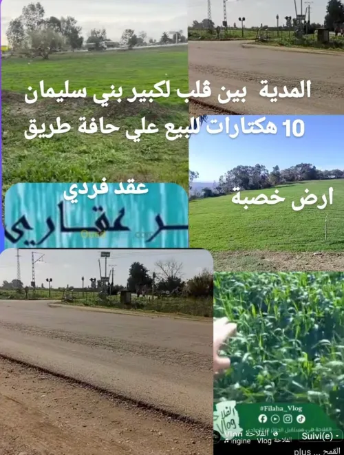 Vente Terrain Agricole Médéa Beni slimane