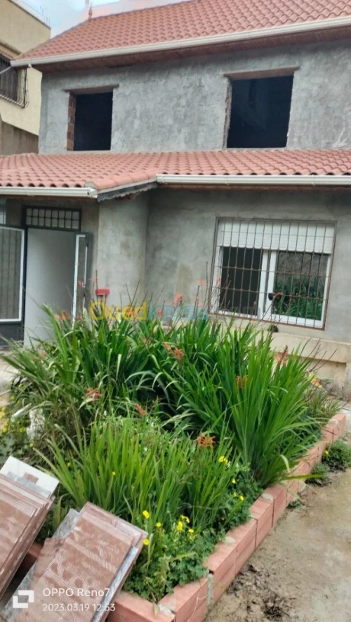 Vente Villa Alger Hraoua