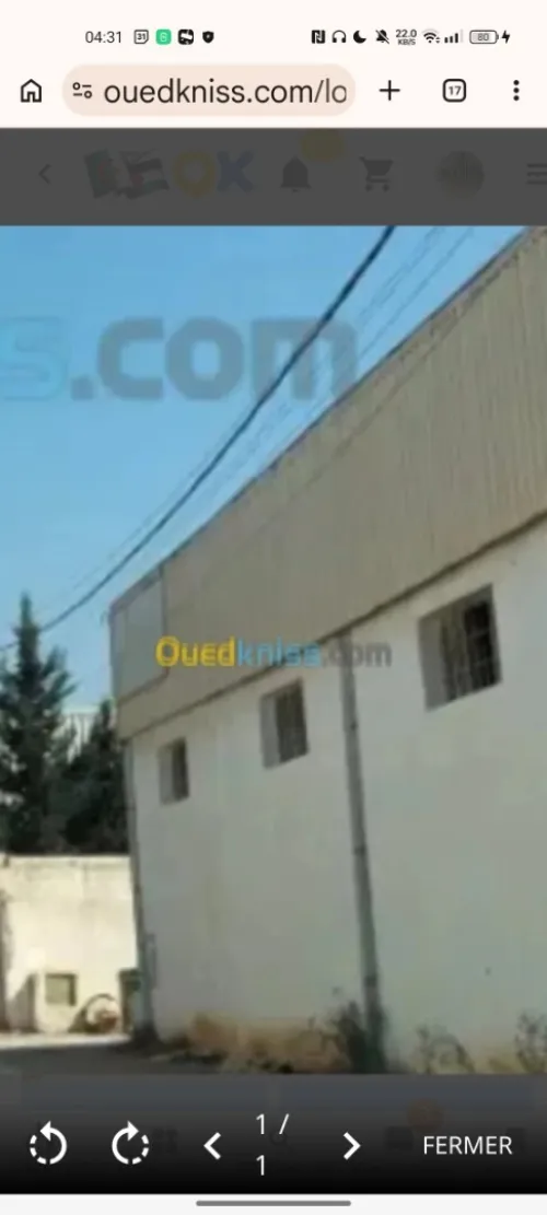 Location Hangar - Usine Alger Bordj el bahri