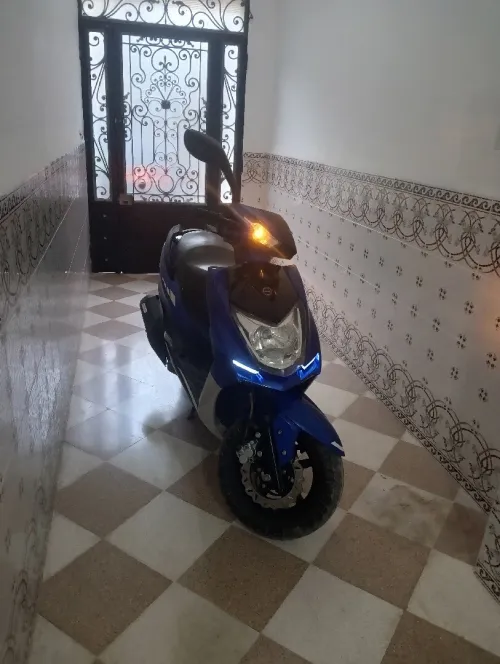 Vms Cygnus x linhai 2021