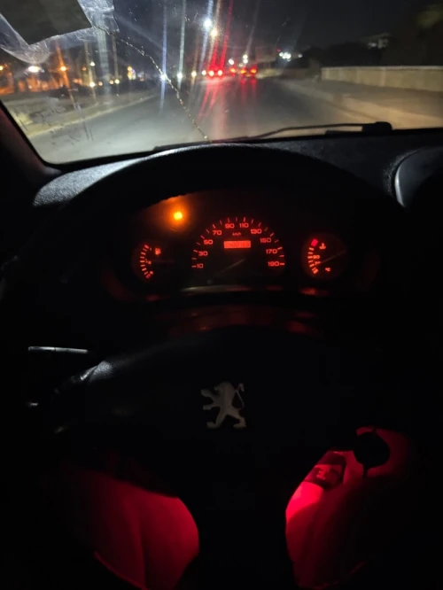 Peugeot 206 1999 206