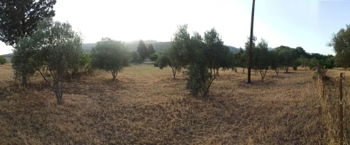 Vente Villa Bejaia Ouzellaguen