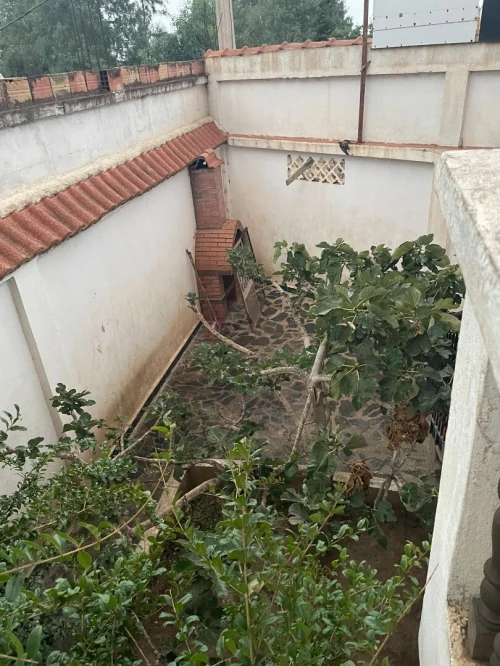 Location Villa Blida Blida