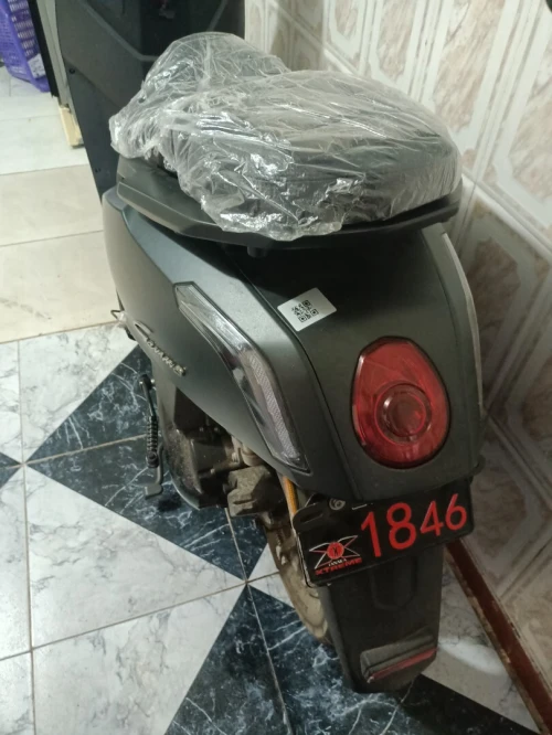 Vms Gemma 2026