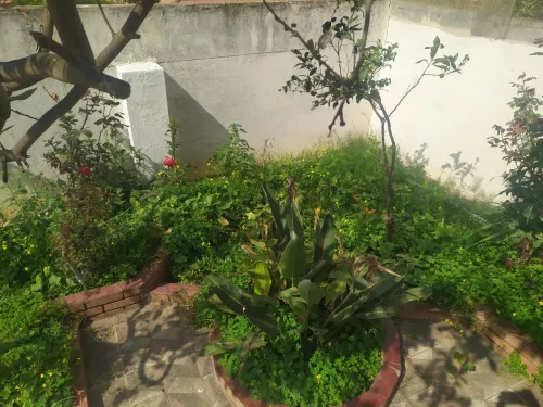 Vente Villa Alger El mouradia