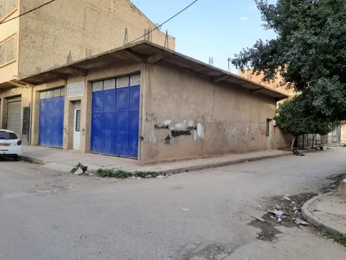 Vente Immeuble Chlef Chlef