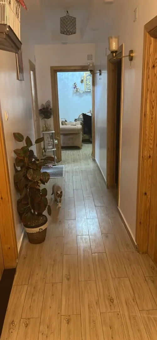 Vente Appartement F3 Alger Bordj el kiffan