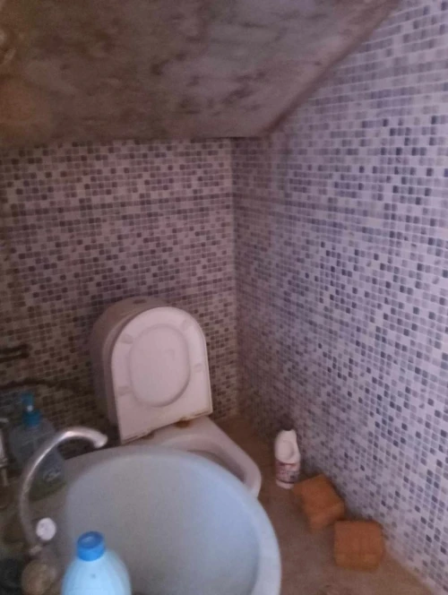 Vente Carcasse Blida Ouled selama
