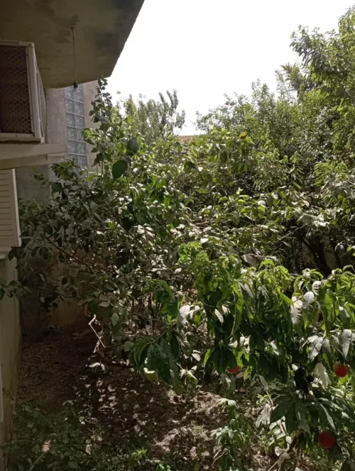 Vente Villa Boumerdès El kharrouba
