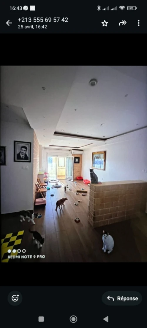 Vente Appartement F3 Alger Birkhadem