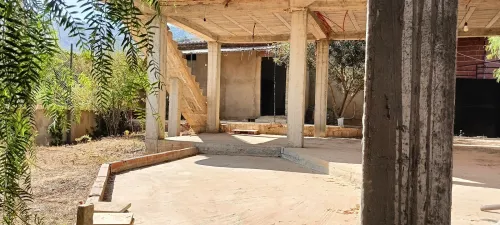 Vente Terrain Tipaza Larhat
