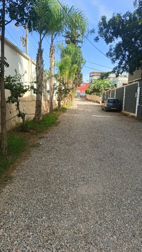 Location Local Alger Birkhadem