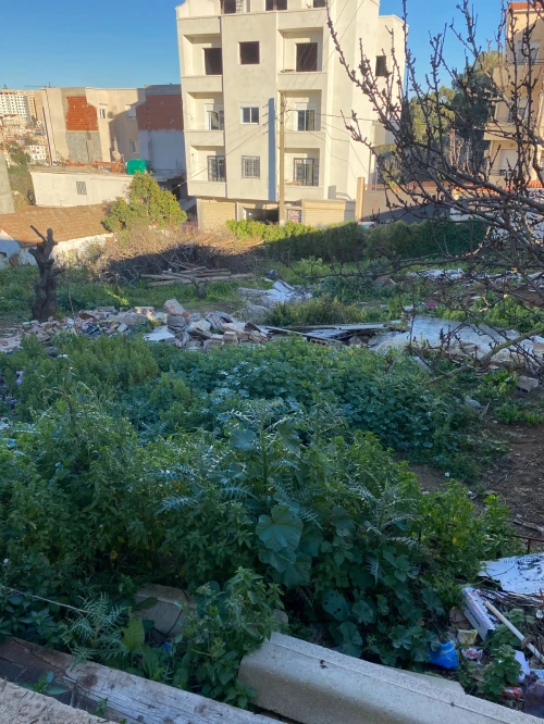 Vente Terrain Alger Draria