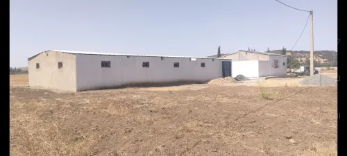 Vente Terrain Agricole Sidi bel abbes Sfissef