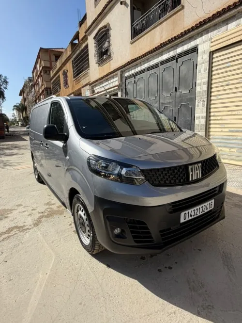 Fiat Scodo 2024 Prefesionel