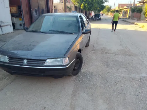 Peugeot 405 1989 405