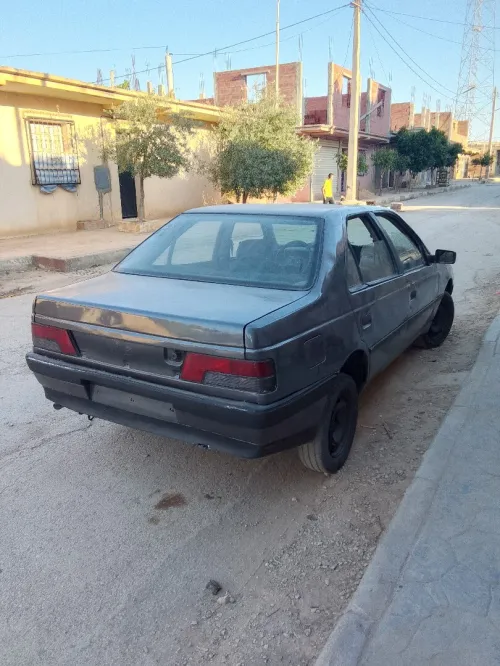 Peugeot 405 1989 405
