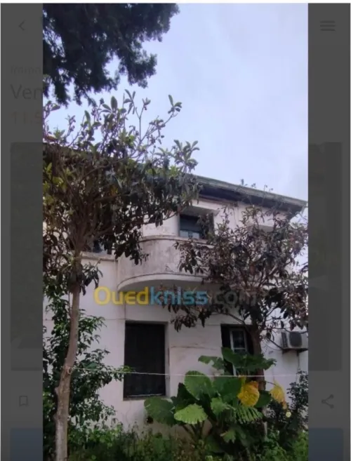 Vente Villa Alger El biar