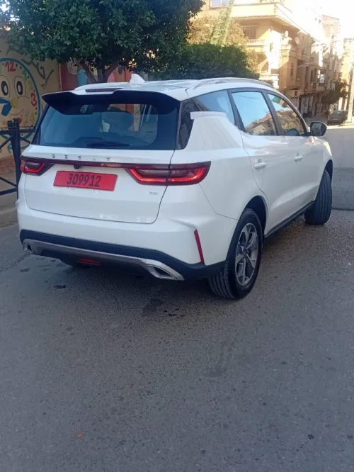Geely Pro 2025 Tout option