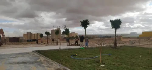 تهيئة المساحات الخضراء 