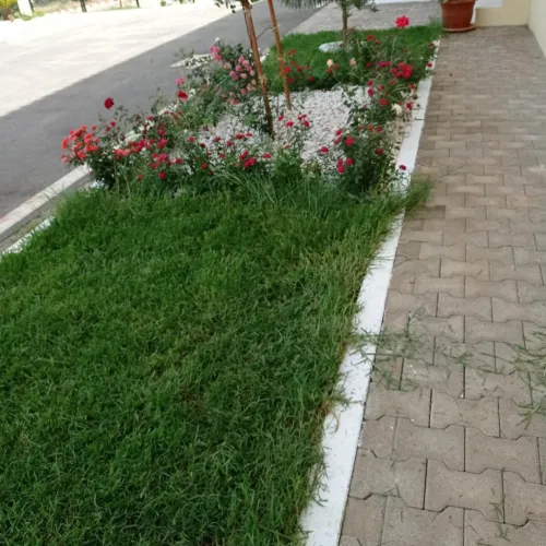 تهيئة المساحات الخضراء
