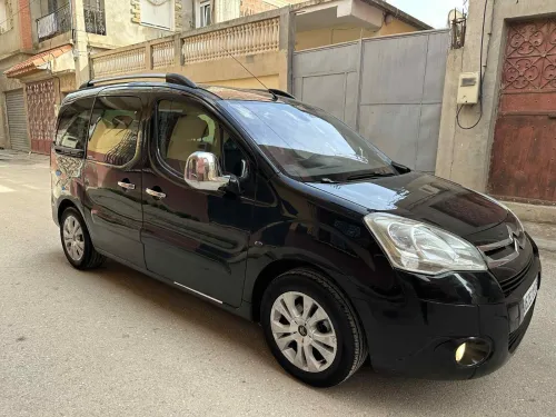 Citroen Berlingo 2009 Berlingo