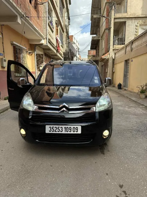 Citroen Berlingo 2009 Berlingo